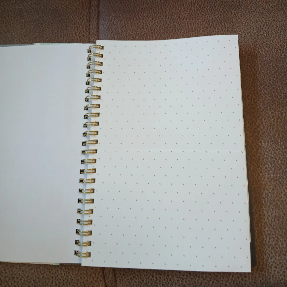 Day Designer tabbed planner 2024 to 2025